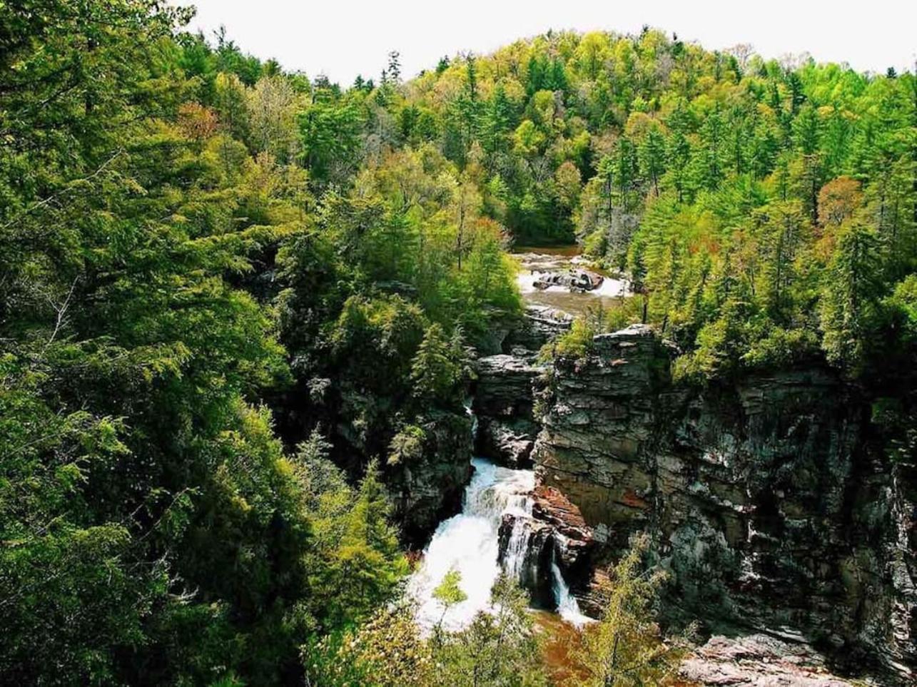Gingercake Mtn Cottage At Linville Gorge - Wood Burning Fireplace Linville Falls ภายนอก รูปภาพ