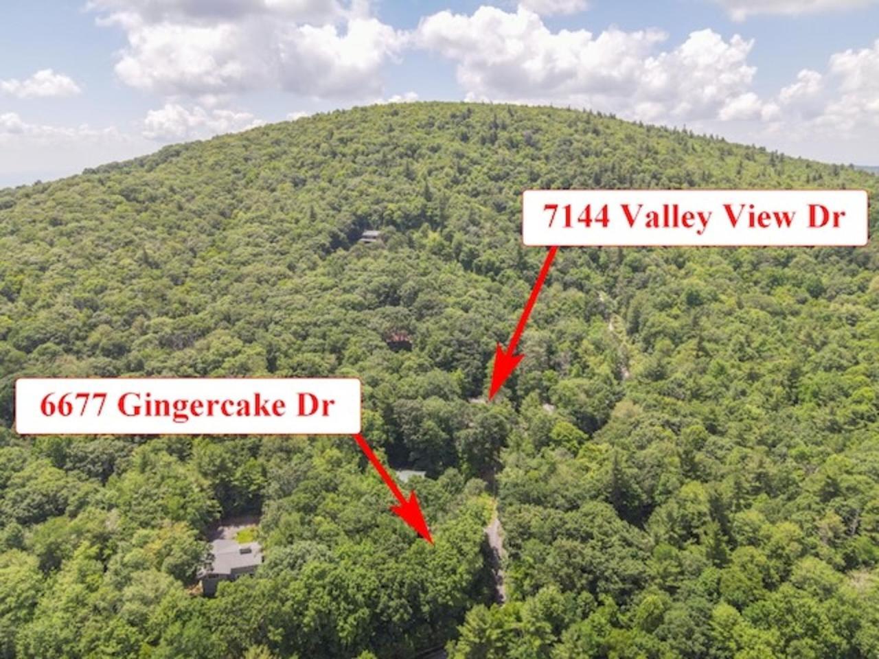 Gingercake Mtn Cottage At Linville Gorge - Wood Burning Fireplace Linville Falls ภายนอก รูปภาพ